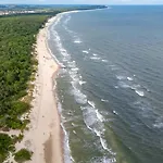 Baltic Forest