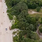 Baltic Forest 코워브제크