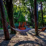 Baltic Forest 코워브제크