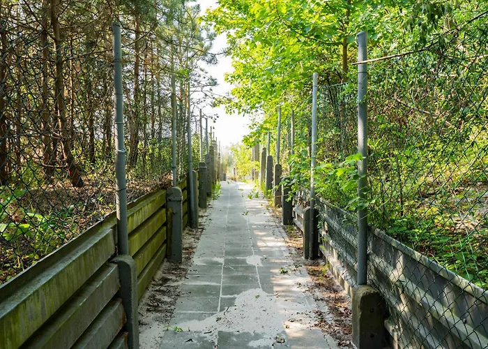 Кемпинг Baltic Forest