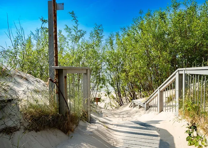 Baltic Forest Кемпинг