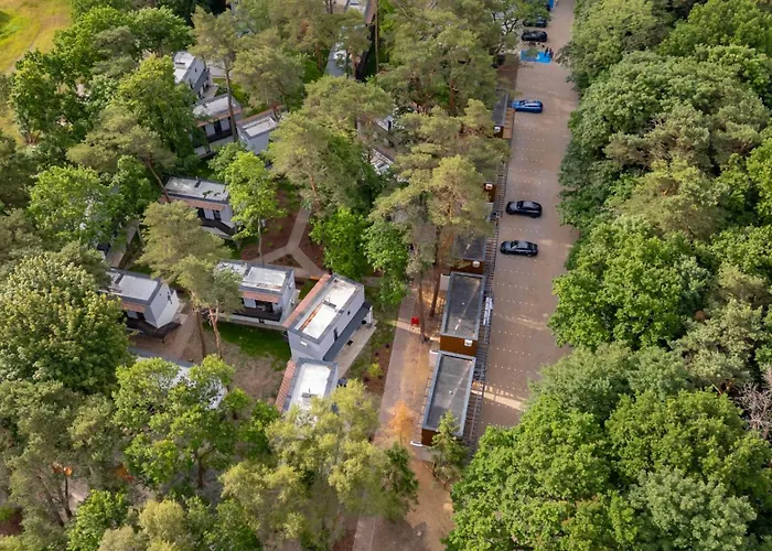 Baltic Forest * Колобжег