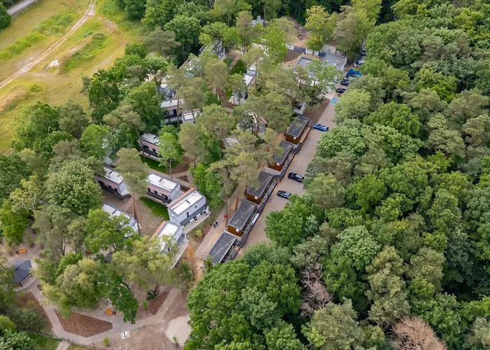 Baltic Forest Кемпинг