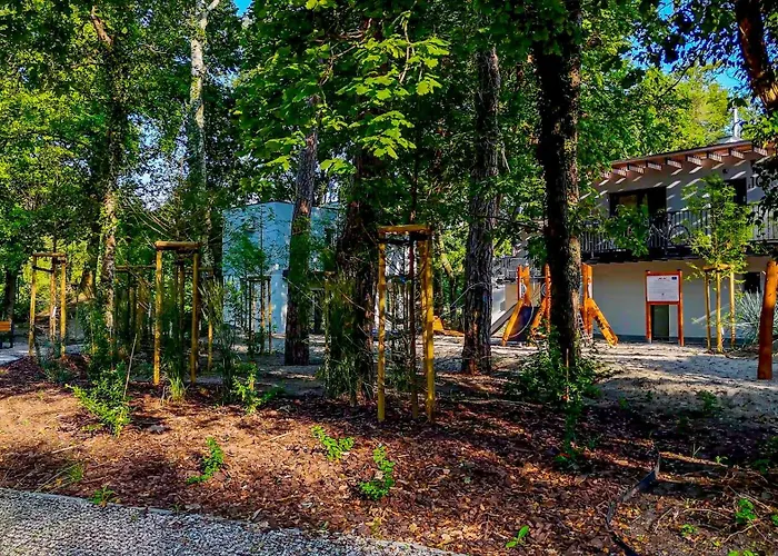 Baltic Forest Кемпинг