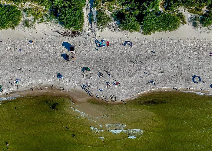 Baltic Forest * Колобжег