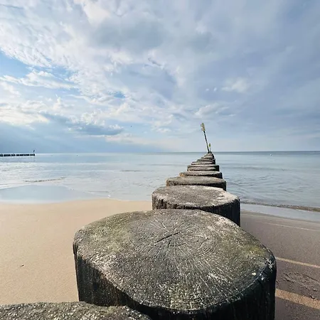 Campeggio Baltic Forest