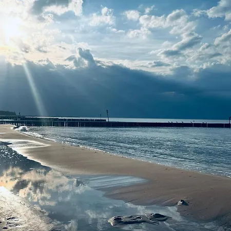 キャンプ場 Baltic Forest *