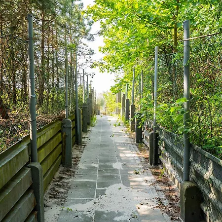 キャンプ場 Baltic Forest