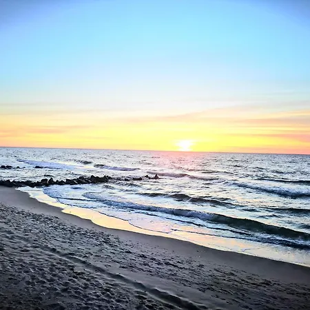 キャンプ場 Baltic Forest *