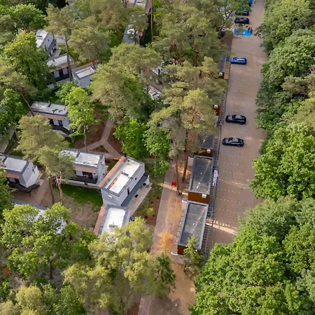 Baltic Forest * コウォブジェク