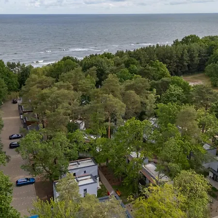 Baltic Forest * コウォブジェク