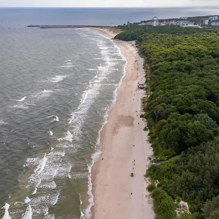 キャンプ場 Baltic Forest