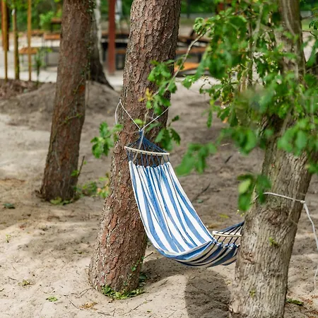 Baltic Forest キャンプ場 *