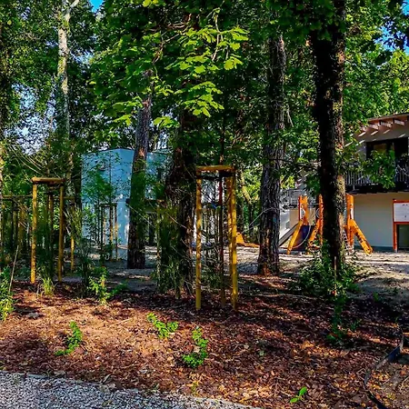 Baltic Forest Campeggio