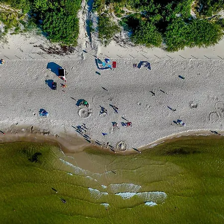 Baltic Forest * コウォブジェク