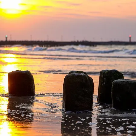 Baltic Forest * コウォブジェク