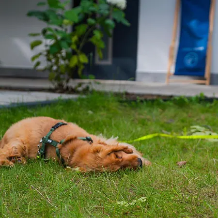 Baltic Forest Campeggio *