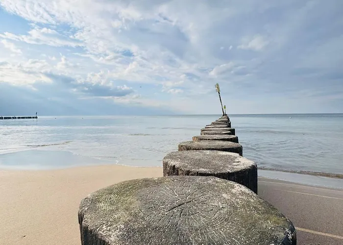 Campeggio Baltic Forest