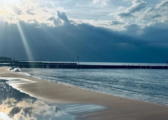 Campeggio Baltic Forest *