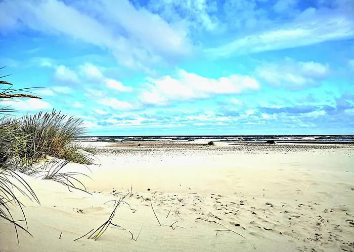 Baltic Forest Campeggio *