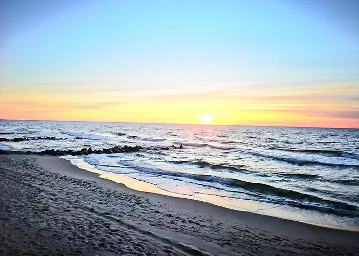 Campeggio Baltic Forest *