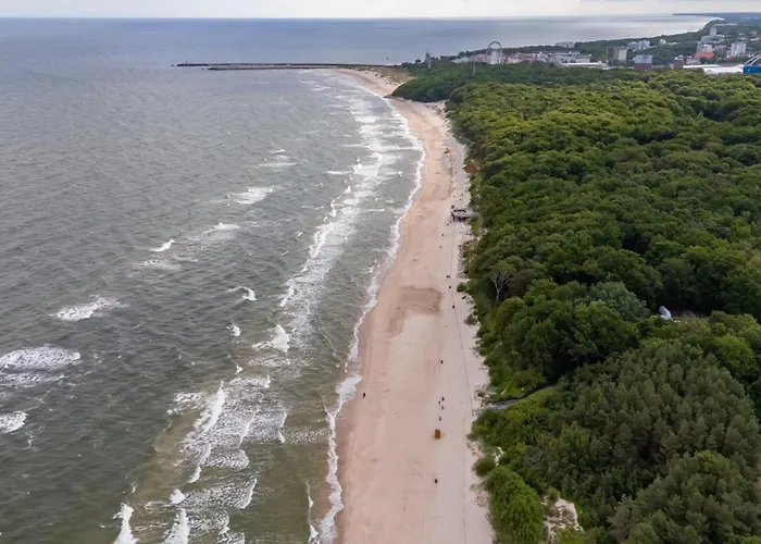 Camping Baltic Forest