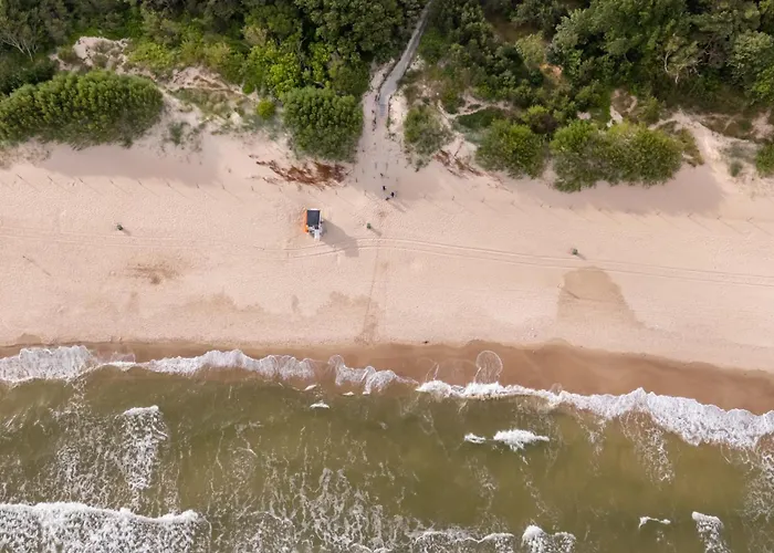 Kemp Baltic Forest *