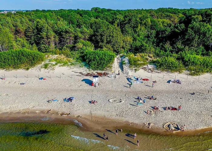 Camping Baltic Forest