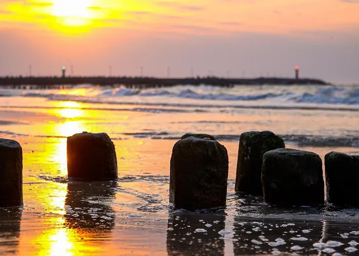 Baltic Forest * Kolobřeh